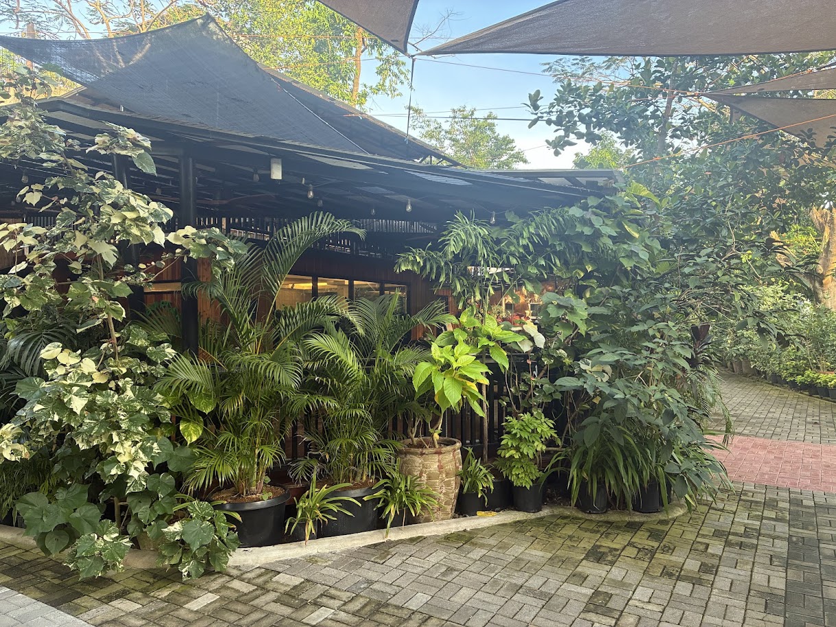 Recommended Cafes and Restaurants Nearby