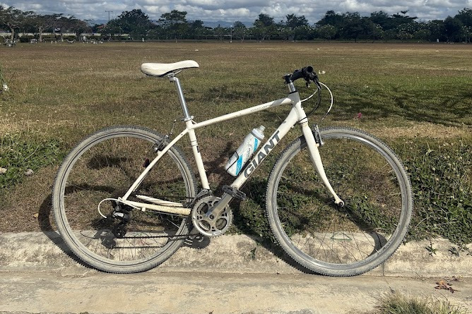Hybrid Bike
